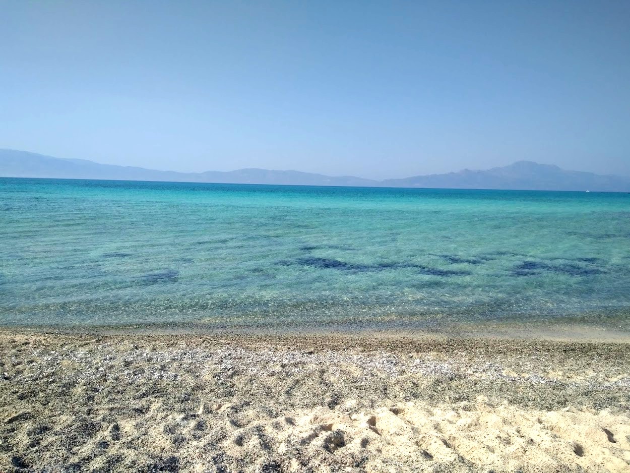 Isola di Chrissi a Creta: a piedi tra cedri del Libano e spiagge dorate