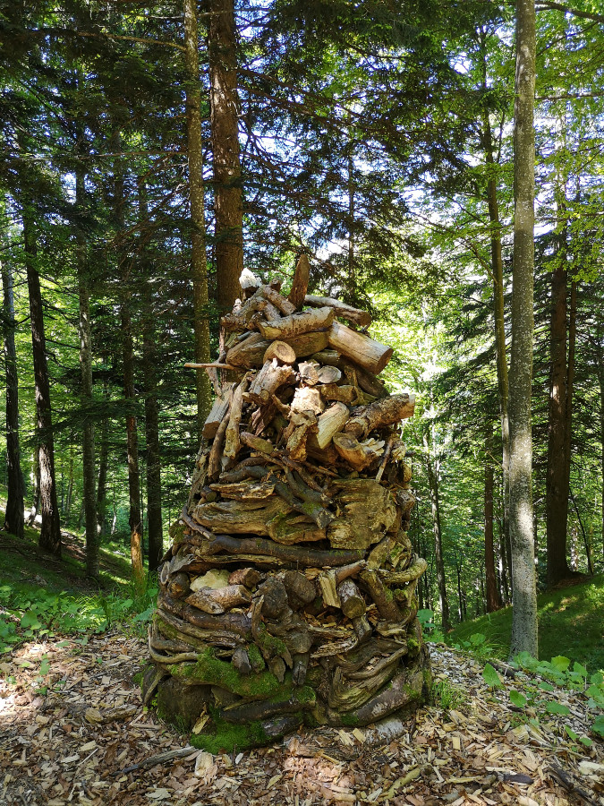 indicazioni il respiro degli alberi lavarone